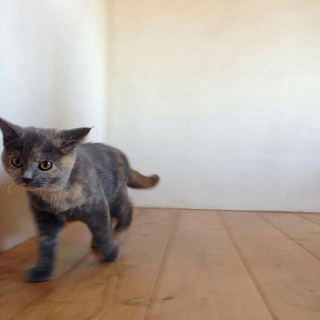 Yosukeさんの実例写真