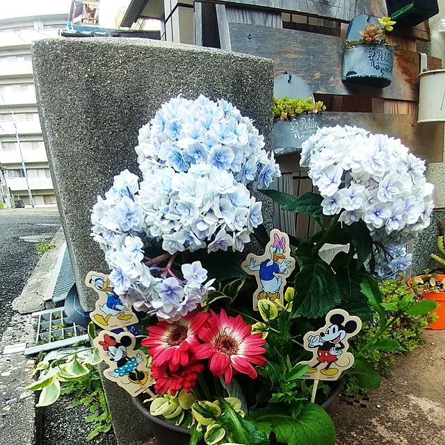 Eriさんの部屋