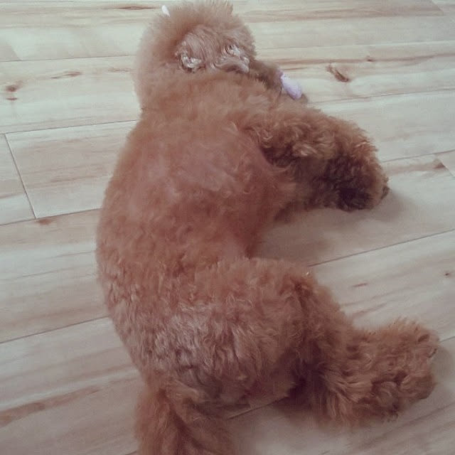 santamamaさんの実例写真