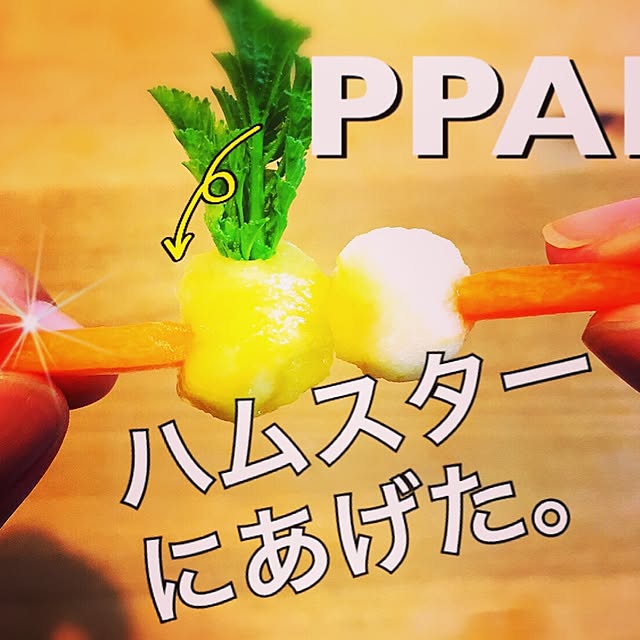 Hamutyaさんの実例写真
