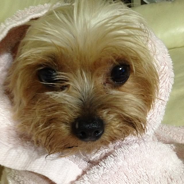 cooさんの実例写真