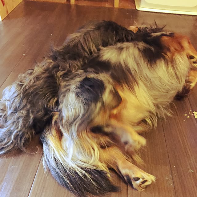 nonpiiiさんの実例写真