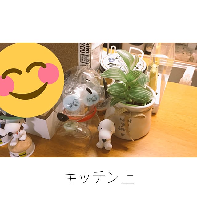 se1291さんの実例写真