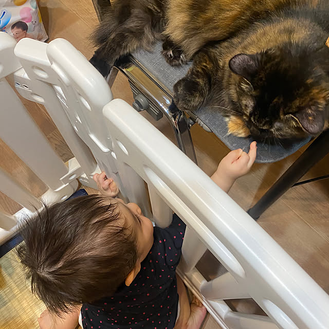 mikomaruさんの実例写真