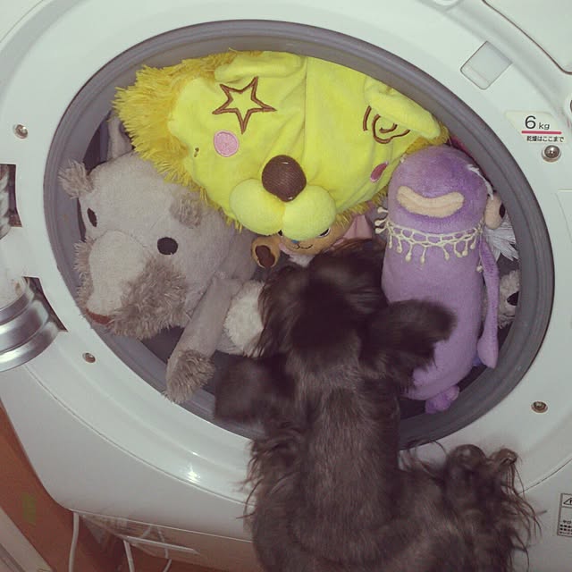 satobonmamaさんの実例写真