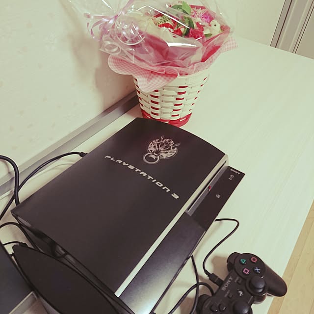 FarblosFlugerさんの実例写真