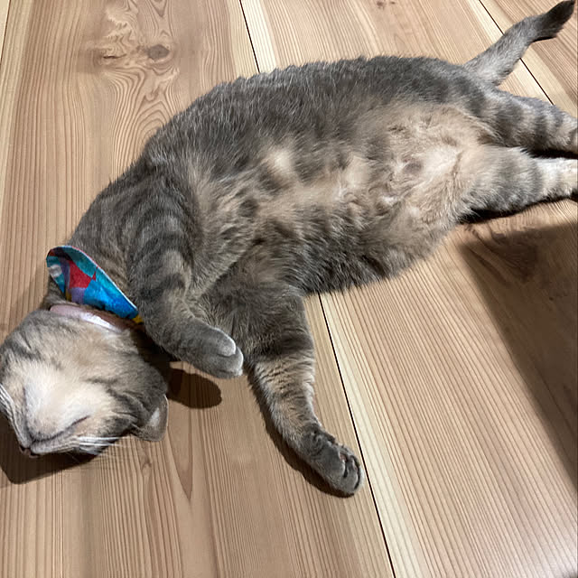 Roby1018さんの実例写真