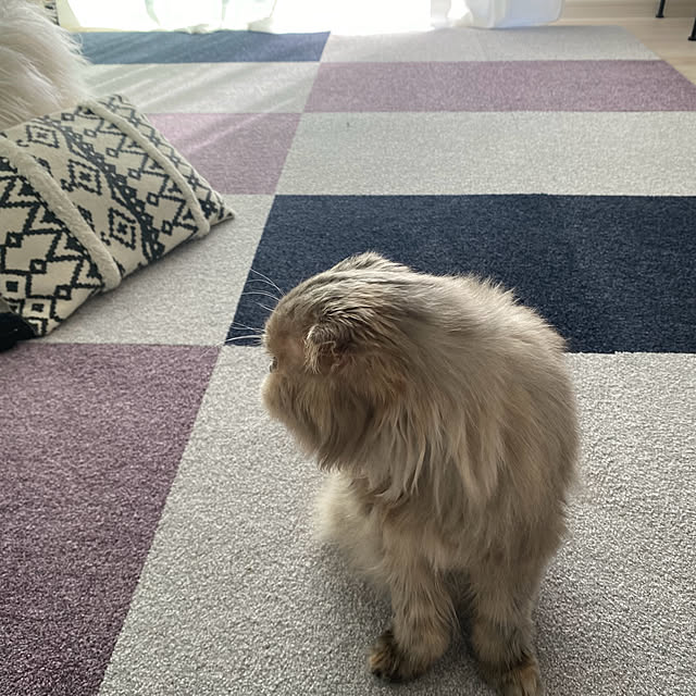 Mahoさんの実例写真