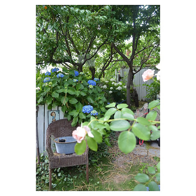 SONNTAGHAUSさんの実例写真