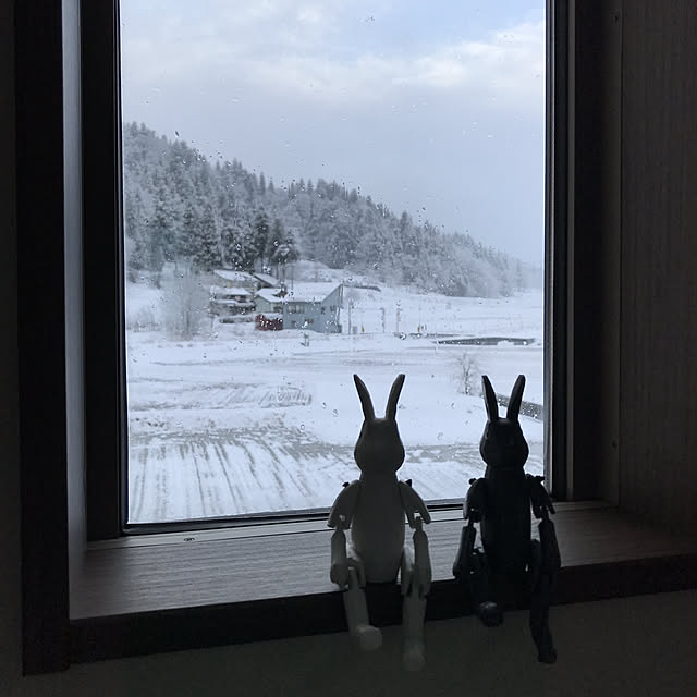 Miriさんの実例写真