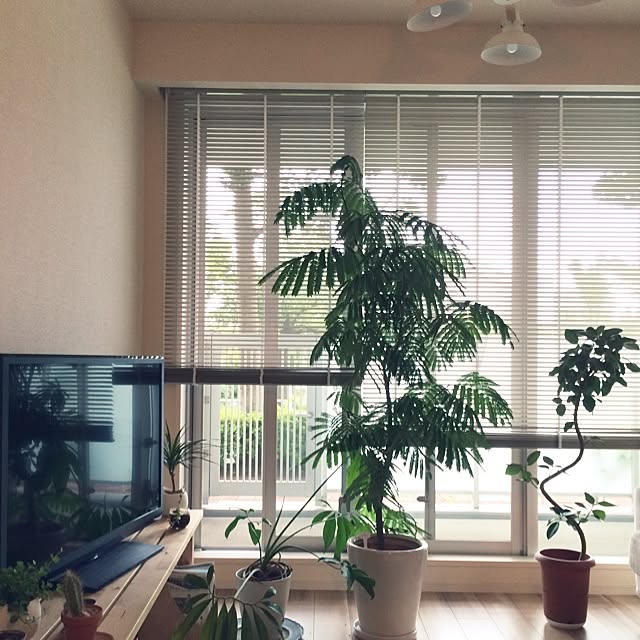 itou.kazutoさんの実例写真