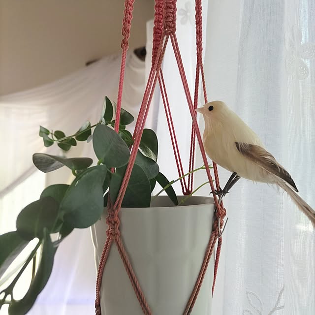 Maroさんの実例写真