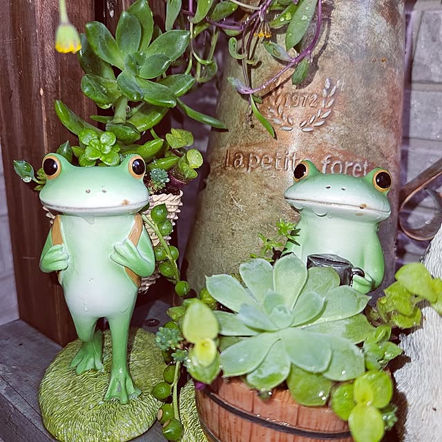 mocomocoさんの実例写真
