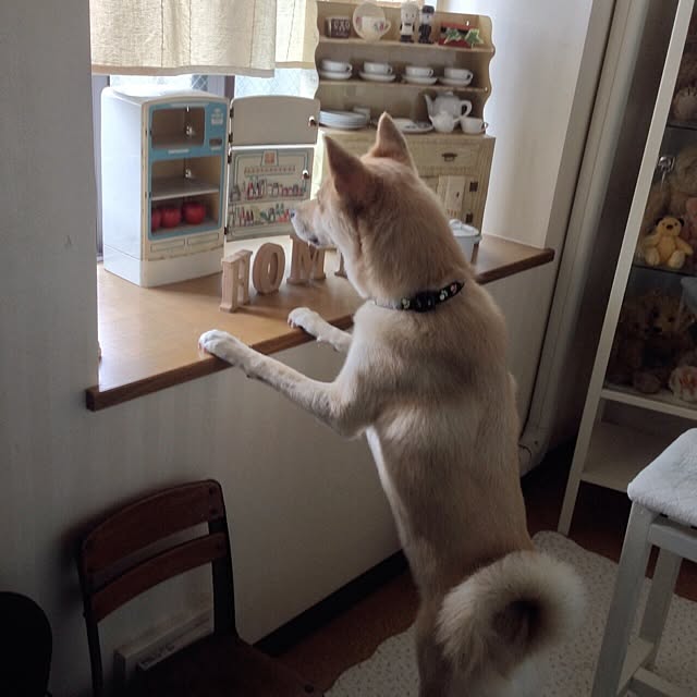 leonaさんの実例写真