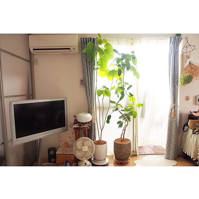 Chihiroさんの実例写真