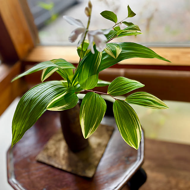 tututu0204さんの部屋