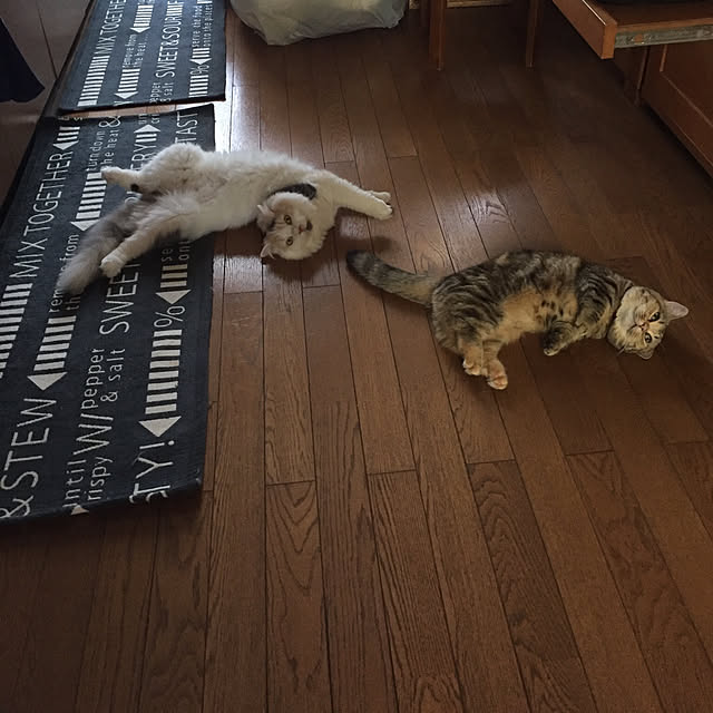 keibooさんの実例写真