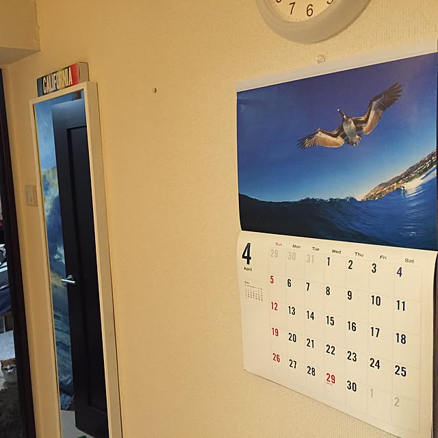 yoshinari_tokuteruさんの実例写真
