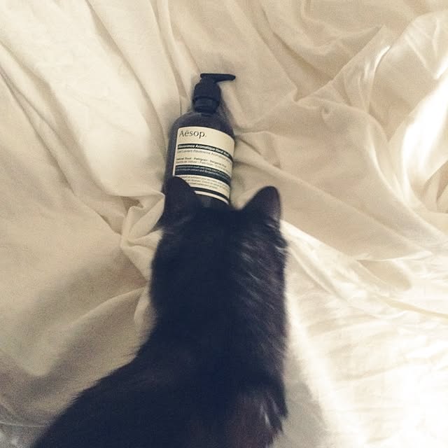 SIMPLEさんの実例写真