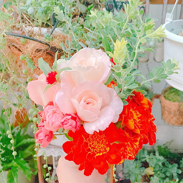 Hanakaさんの部屋