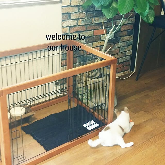 kousuiさんの実例写真
