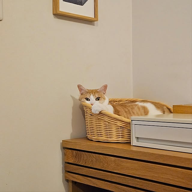 koyurizuさんの実例写真