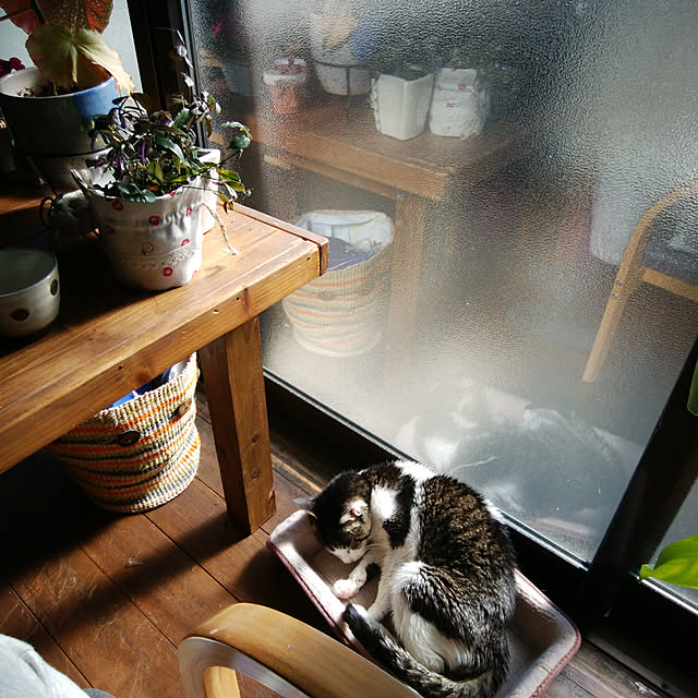 montomoさんの実例写真