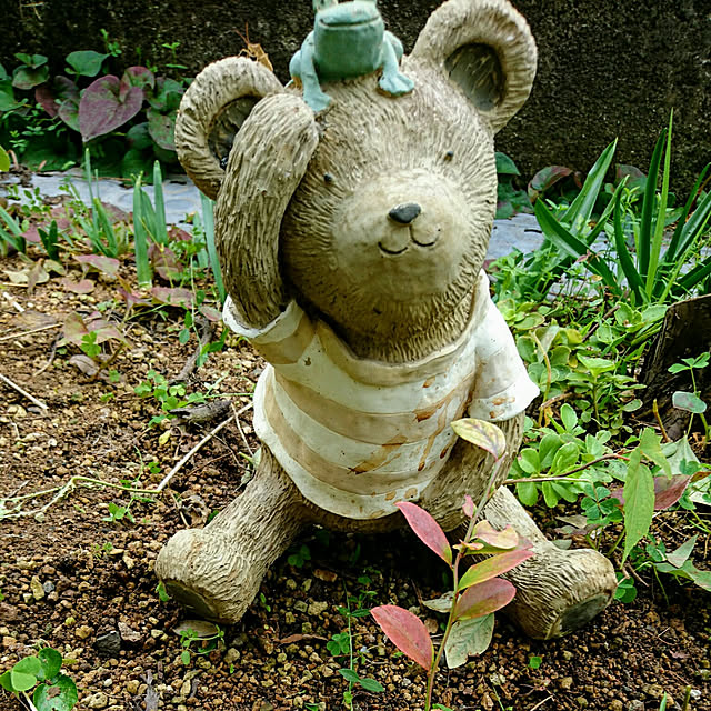tomo0813さんの実例写真