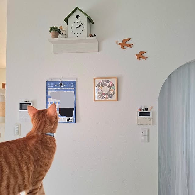 m.m.mさんの実例写真