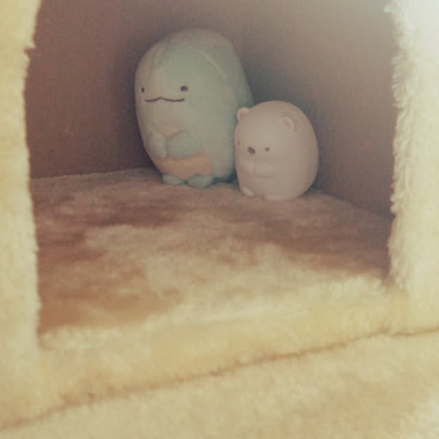 sleepywhaleさんの実例写真