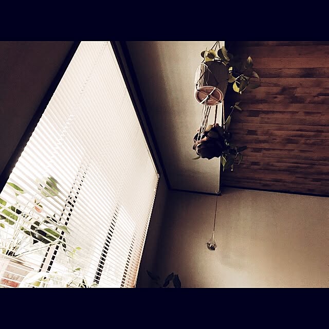 miiksさんの実例写真
