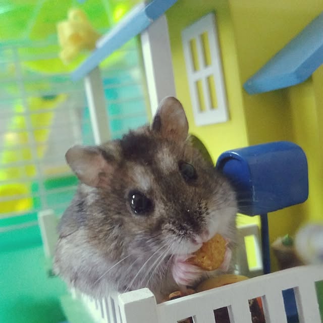 Samさんの実例写真