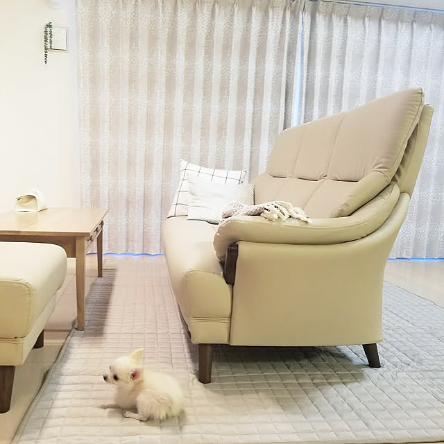 miAさんの実例写真