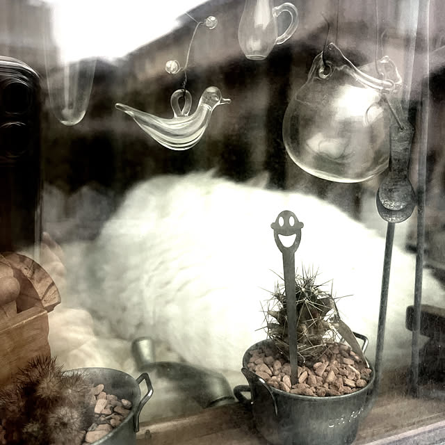 Ohigeさんの実例写真