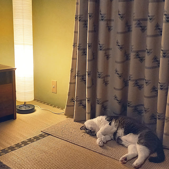 rhuさんの実例写真