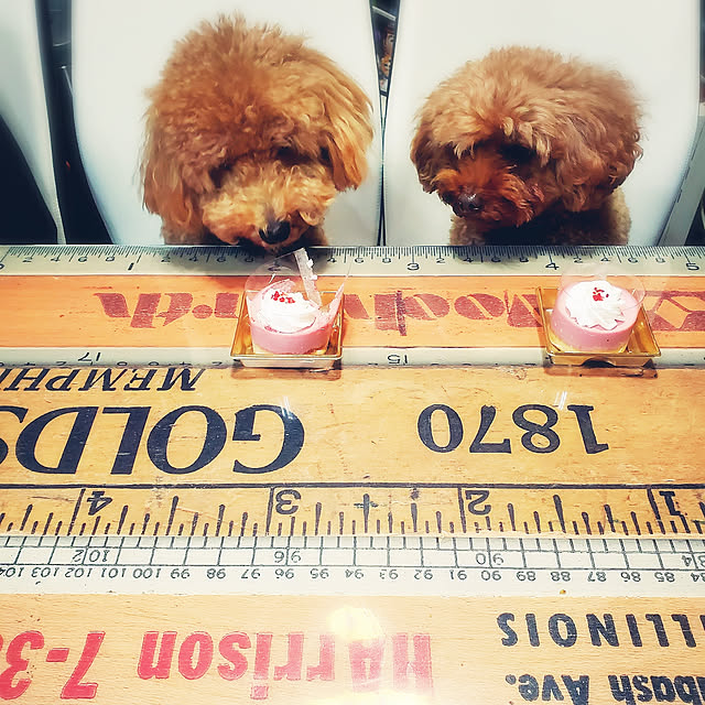 cherrycherryさんの実例写真