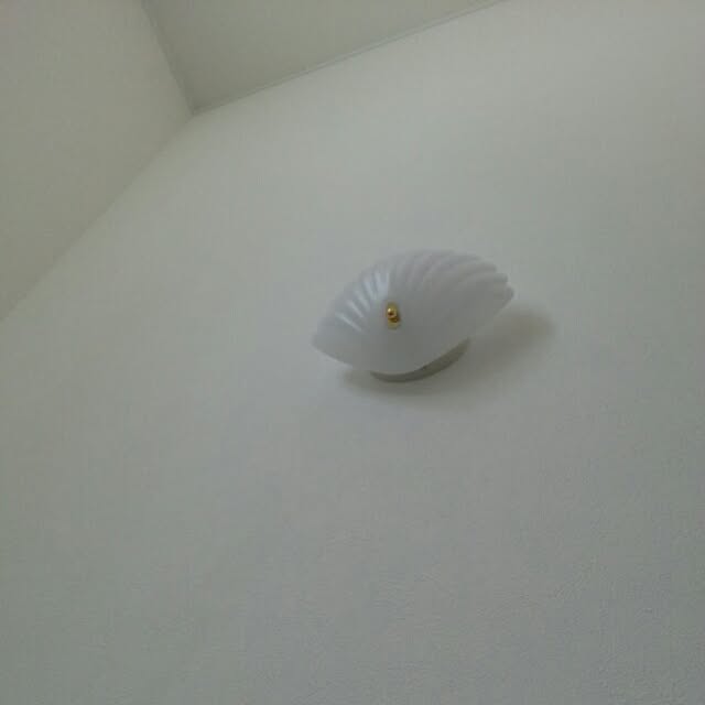 nonさんの実例写真