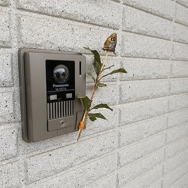 tokotokoさんの実例写真