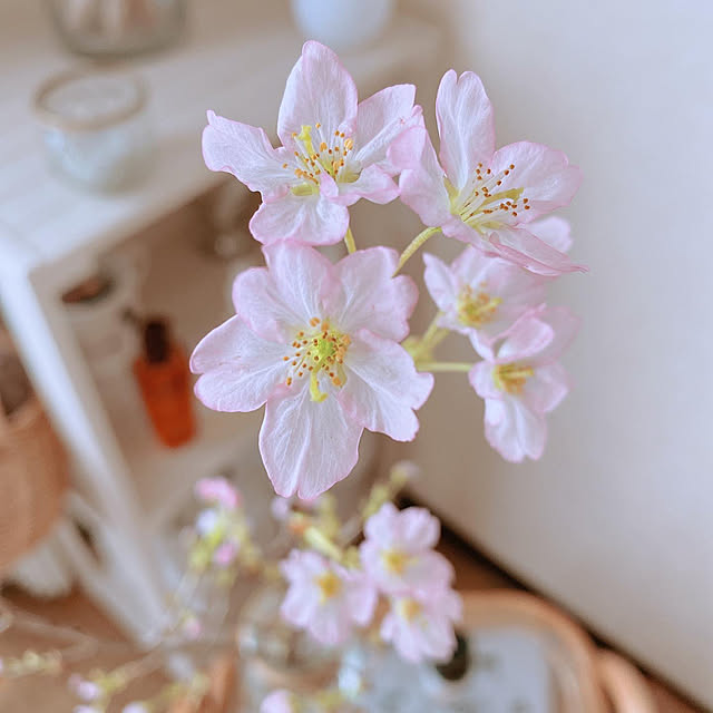 smallroomさんの実例写真