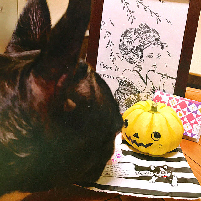 T..Nさんの実例写真