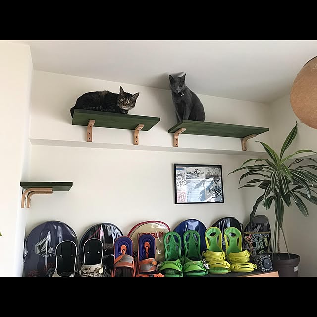 alanさんの実例写真