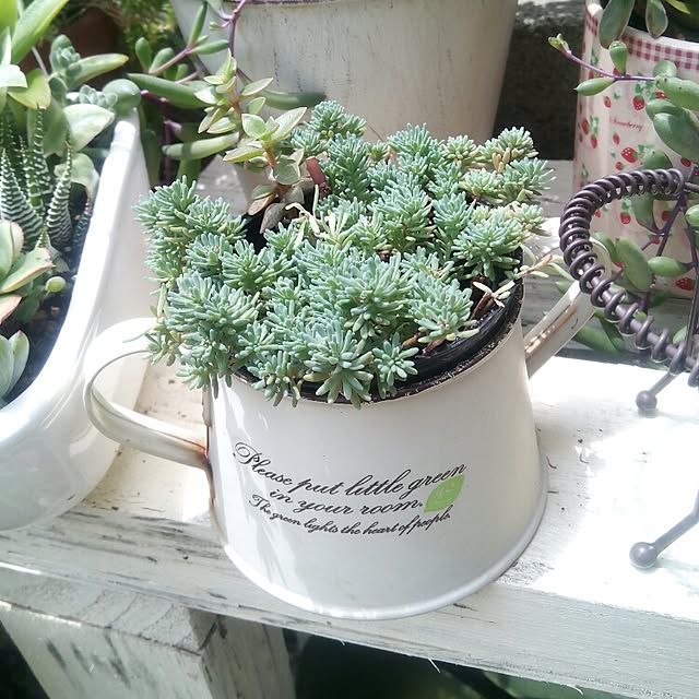 VERANDARJUNさんの実例写真