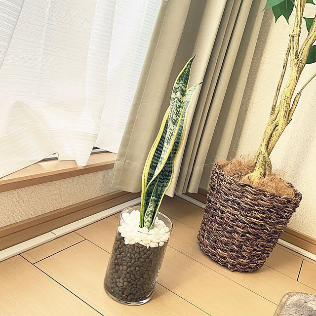ailoop628さんの実例写真