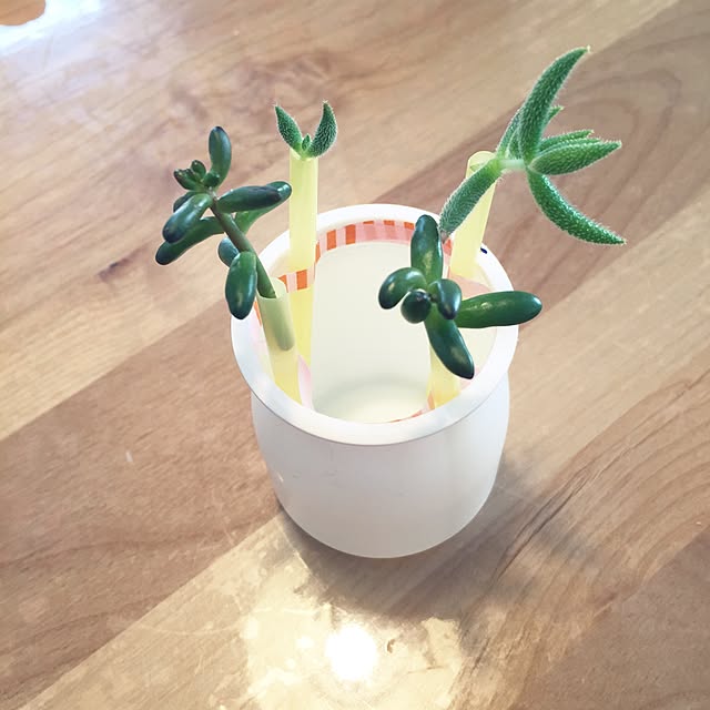 Ayumiさんの実例写真