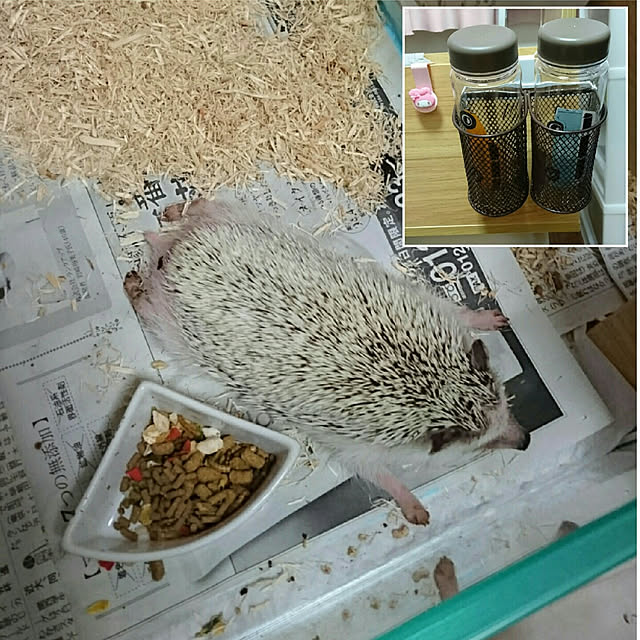 Reikomさんの実例写真