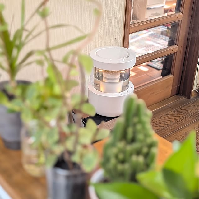 naoporonさんの部屋