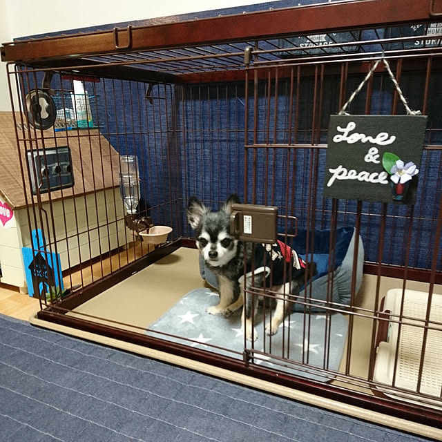 lovepeaceさんの実例写真