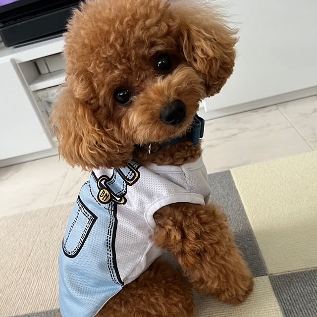 makiさんの実例写真