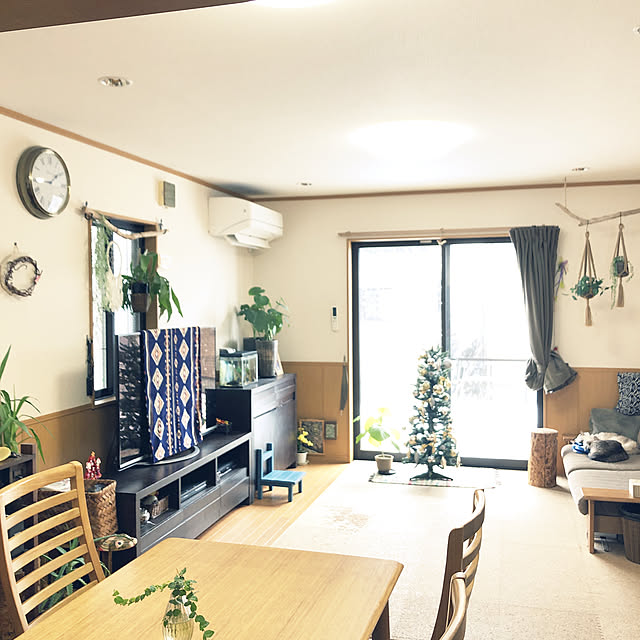 ウンベラータ/クリスマスツリー/DIY/観葉植物/子供のいる暮らし...などのインテリア実例 - 2020-12-16 13:53:20
