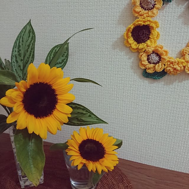 hopkeiさんの実例写真